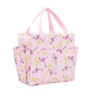 Picnic Bag / حقيبة حافظة للحرارة