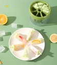 Ice Cream Popsicle Mold 8 Cavity Storage Box/قالب الآيس كريم