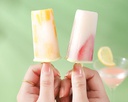 Ice Cream Popsicle Mold 8 Cavity Storage Box/قالب الآيس كريم
