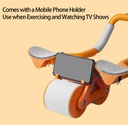 Abdominal Exercise Wheel